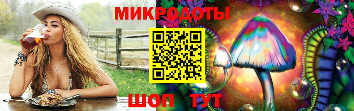 Псилоцибиновые грибы GOLDEN TEACHER Ухта